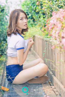 黛妃合集小说